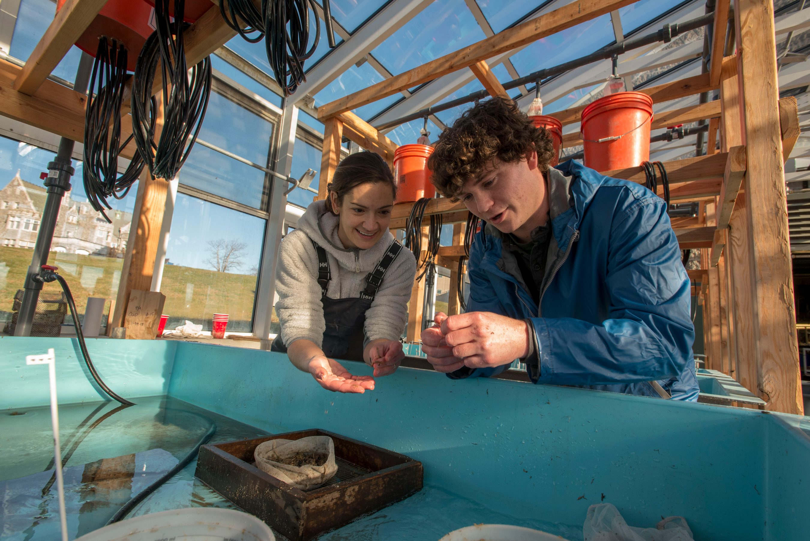 avery181129e072 Sean Ryan Ph.D. student and Assistant Professor Catherine Matassa working on a research project at UConn Avery Point